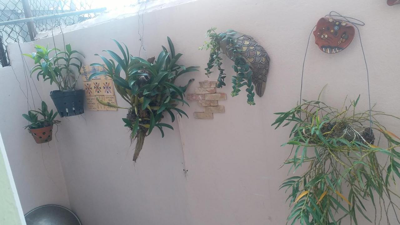 Kota'S House Homestay Huế Szoba fotó